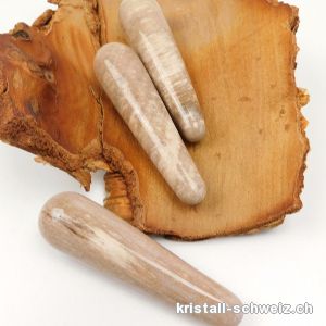 Griffel versteinertes Holz Hellfarbe 8,5 x 2 cm dick
