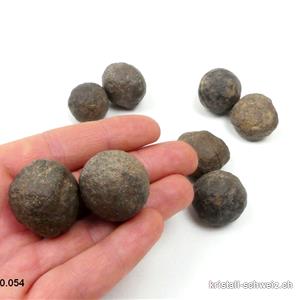 Moquis marbles, paire mâle-femelle. Diamètre 2 cm à 2,5 cm