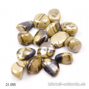 Schalenblende 1,5 - 2 cm. Grösse S