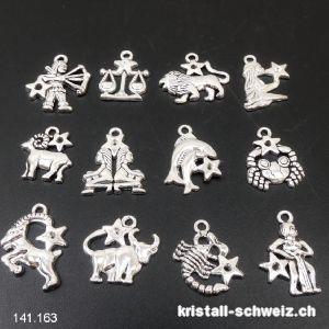 Los 12 Charms Sternzeichen 2 - 2,5 cm aus Metall