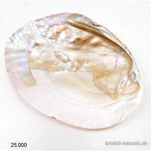 Muschel mit Perlen in Perlmutt 13 bis 15 cm
