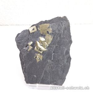 Pyrit auf Schiefer aus der Schweiz, mit Plexiständer. Unikat