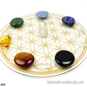 Chakra-Rad Blume des Lebens, mit 15 Edelsteine