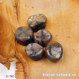 Chiastolith - Kreuzstein 2,2 - 2,5 cm / 13 bis 15 Gramm