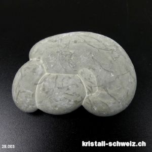 Fairy Stone ENTWICKLUNG DES LEBENS. Einzelstück