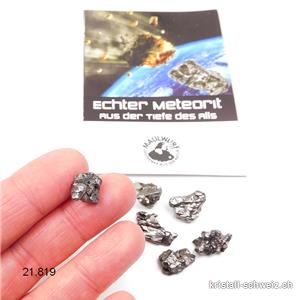 Meteorit Campo del Cielo Argentinien 1 bis 1,5 cm / 2 bis 3 Gramm