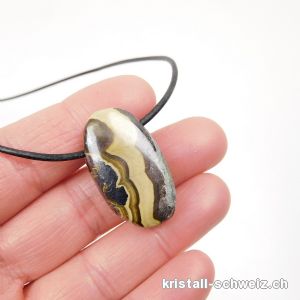 Schalenblende gebohrt 3 cm mit Lederband zum binden. Unikat