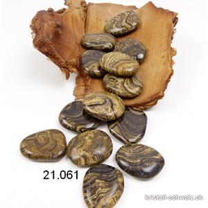 Stromatolith flachen, 3 - 3,5 cm. Grösse M-L