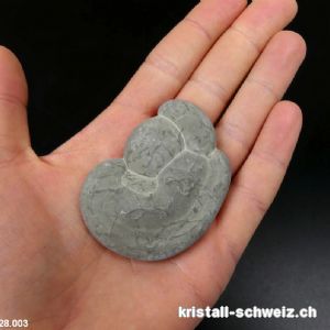 Fairy Stone ENTWICKLUNG DES LEBENS. Einzelstück