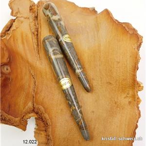 Griffel Septaria 9,5 - 10 cm. Schöne Qualität