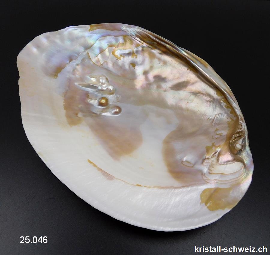 Muschel mit Perlen in Perlmutt 18 bis 19 cm. Grösse XL