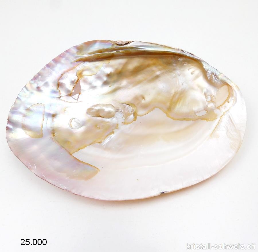 Muschel mit Perlen in Perlmutt 15 - 17 cm