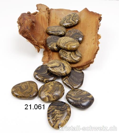 Stromatolith flachen, 3 - 3,5 cm. Grösse M-L