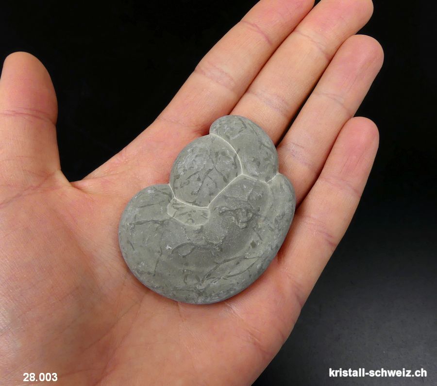 Fairy Stone ENTWICKLUNG DES LEBENS. Einzelstück